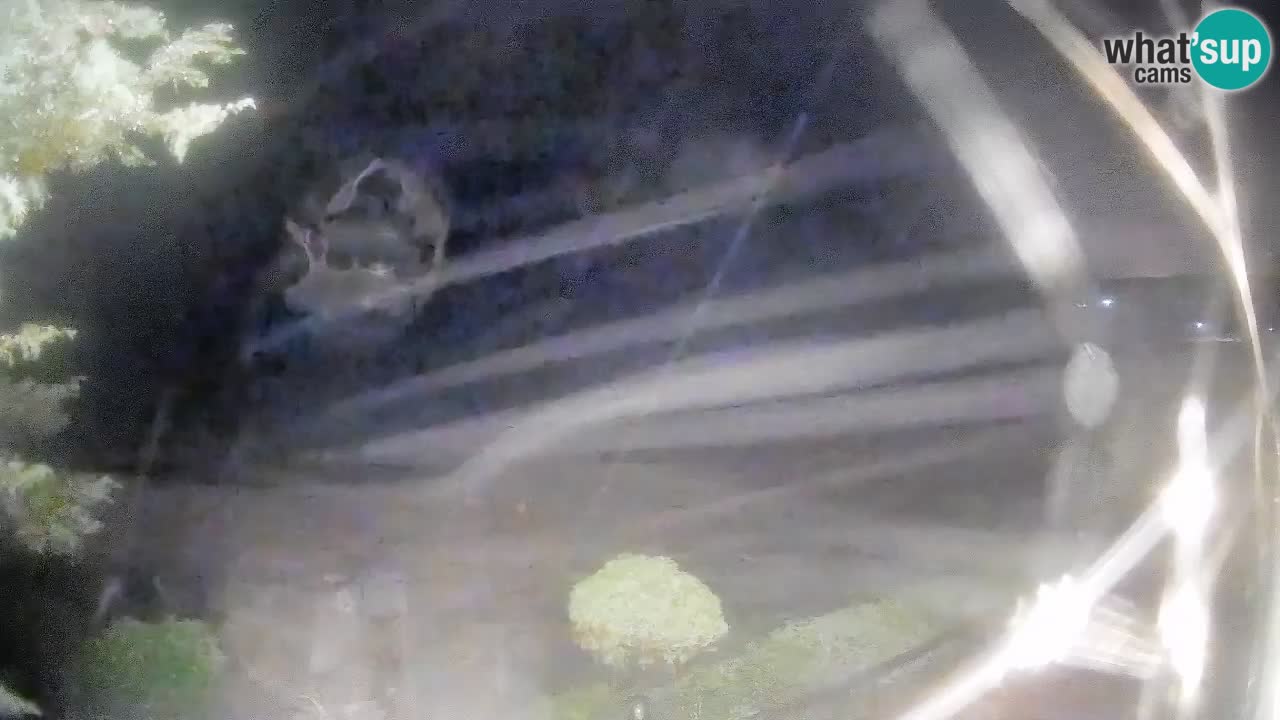 Live-Webcam La Marinedda – Isola Rossa – Agultu – Sardinien – Italien