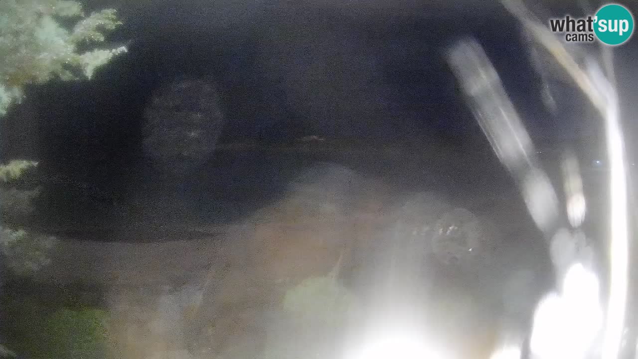 Live webcam La Marinedda – Isola Rossa – Agultu – Sardegna