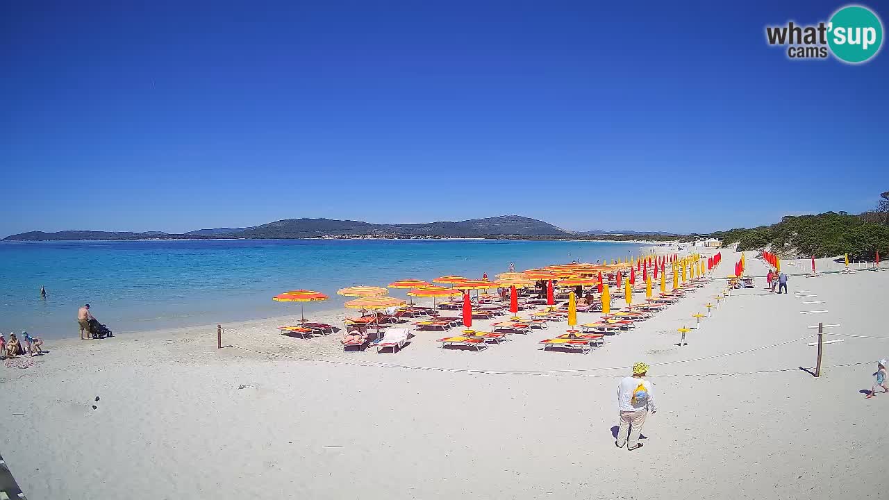 Webcam en vivo Playa de Maia Pia – Alghero – Cerdeña – Italia