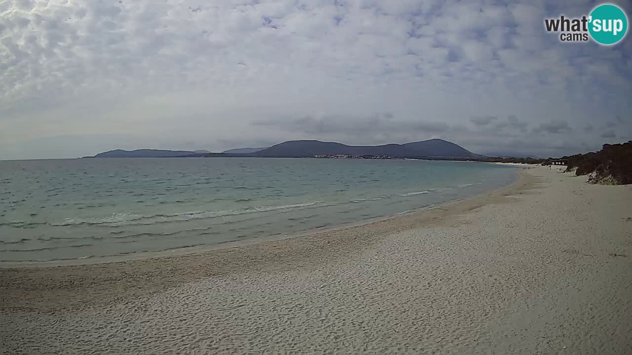 Spletna kamera plaža Maia Pia – Alghero – Sardinija – Italija