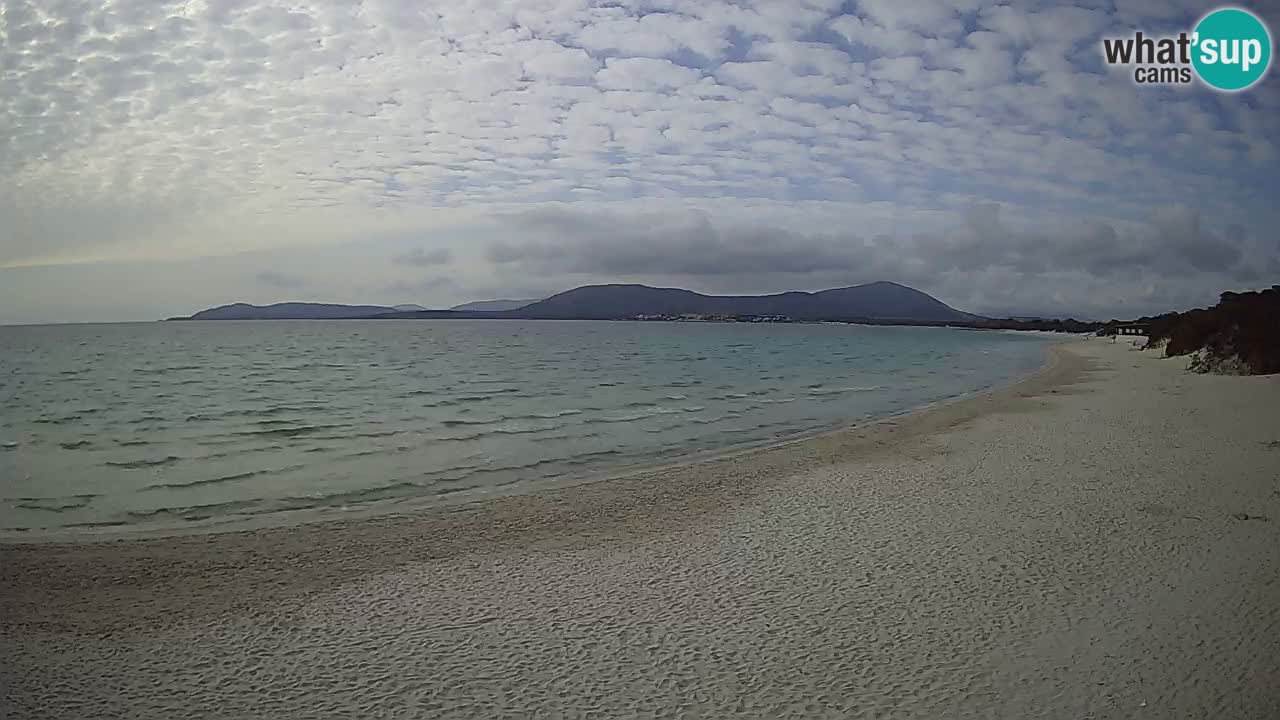 Live Webcam Strand Maia Pia – Alghero – Sardinien – Italien