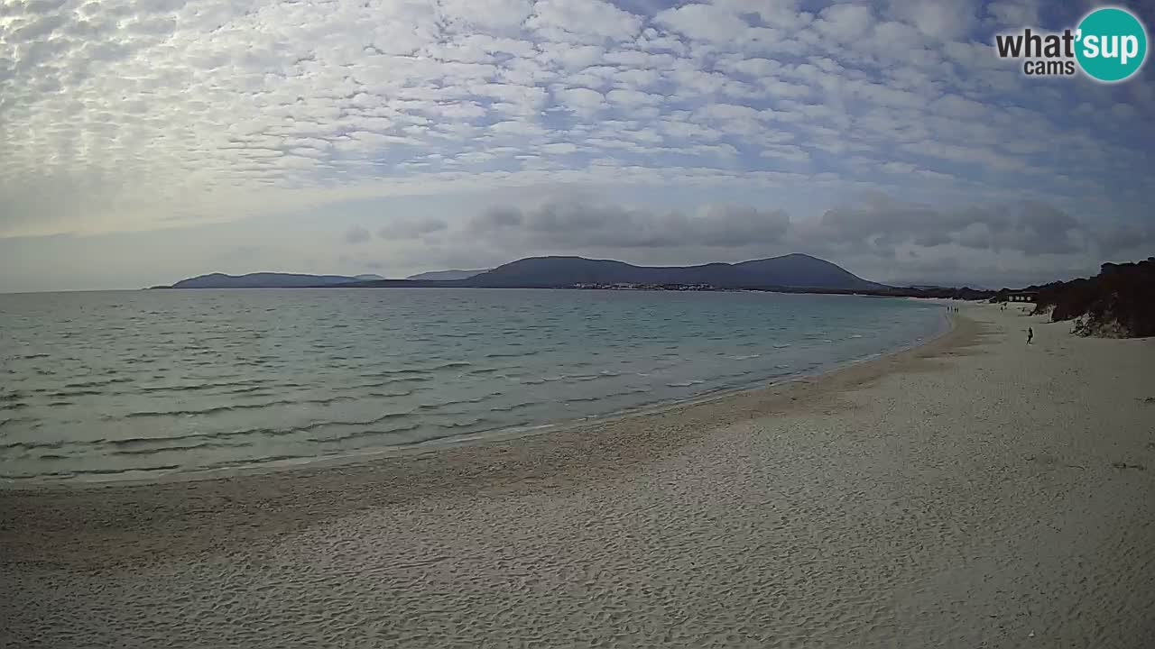 Live webcam Spiaggia Maia Pia – Alghero – Sardegna