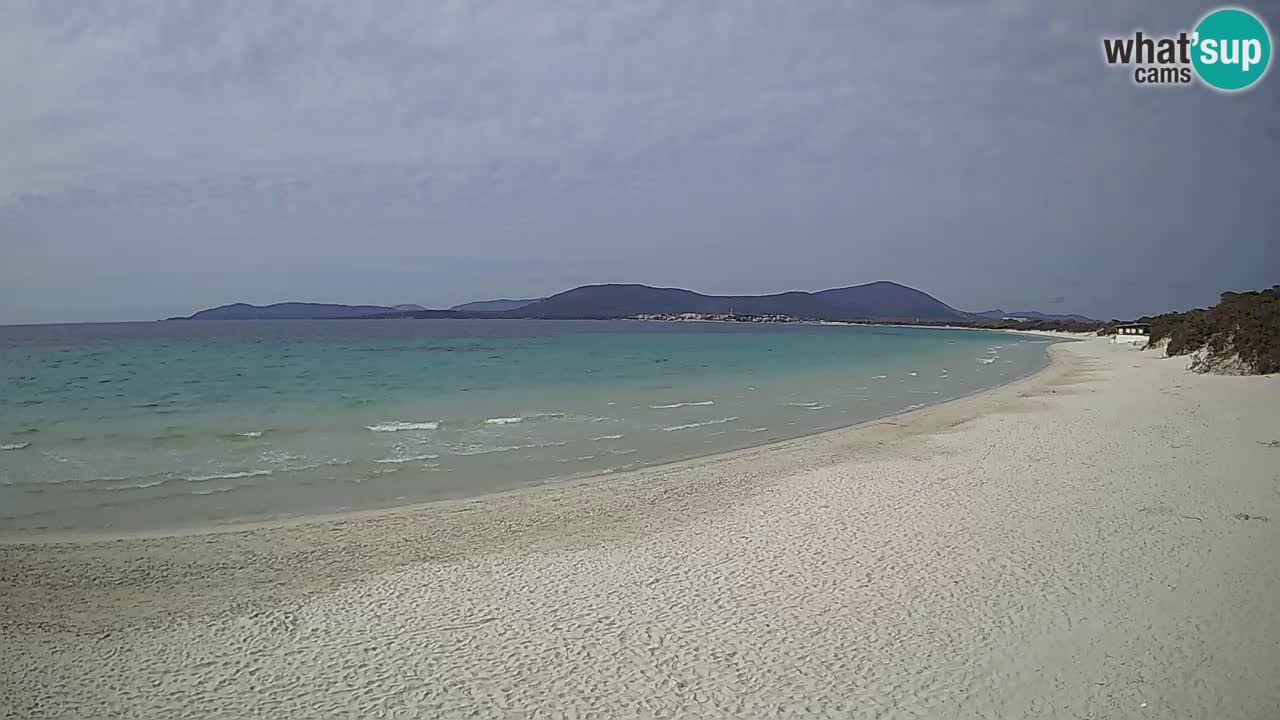 Live webcam Maia Pia beach – Alghero – Sardinia – Italy