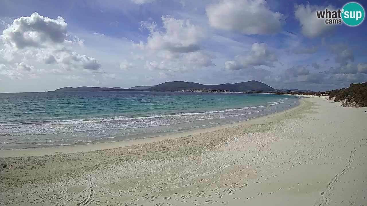 Live webcam Maia Pia beach – Alghero – Sardinia – Italy