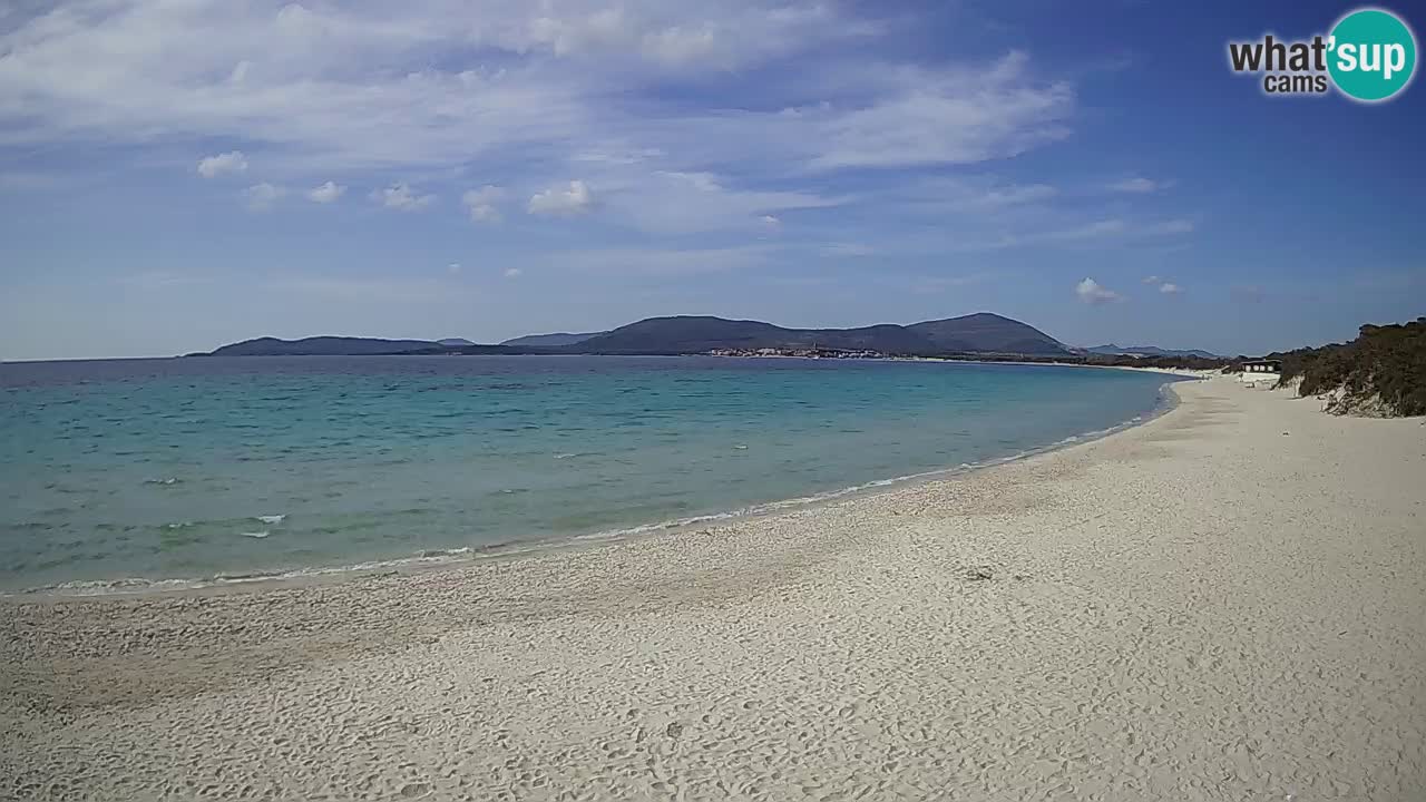 Webcam en vivo Playa de Maia Pia – Alghero – Cerdeña – Italia