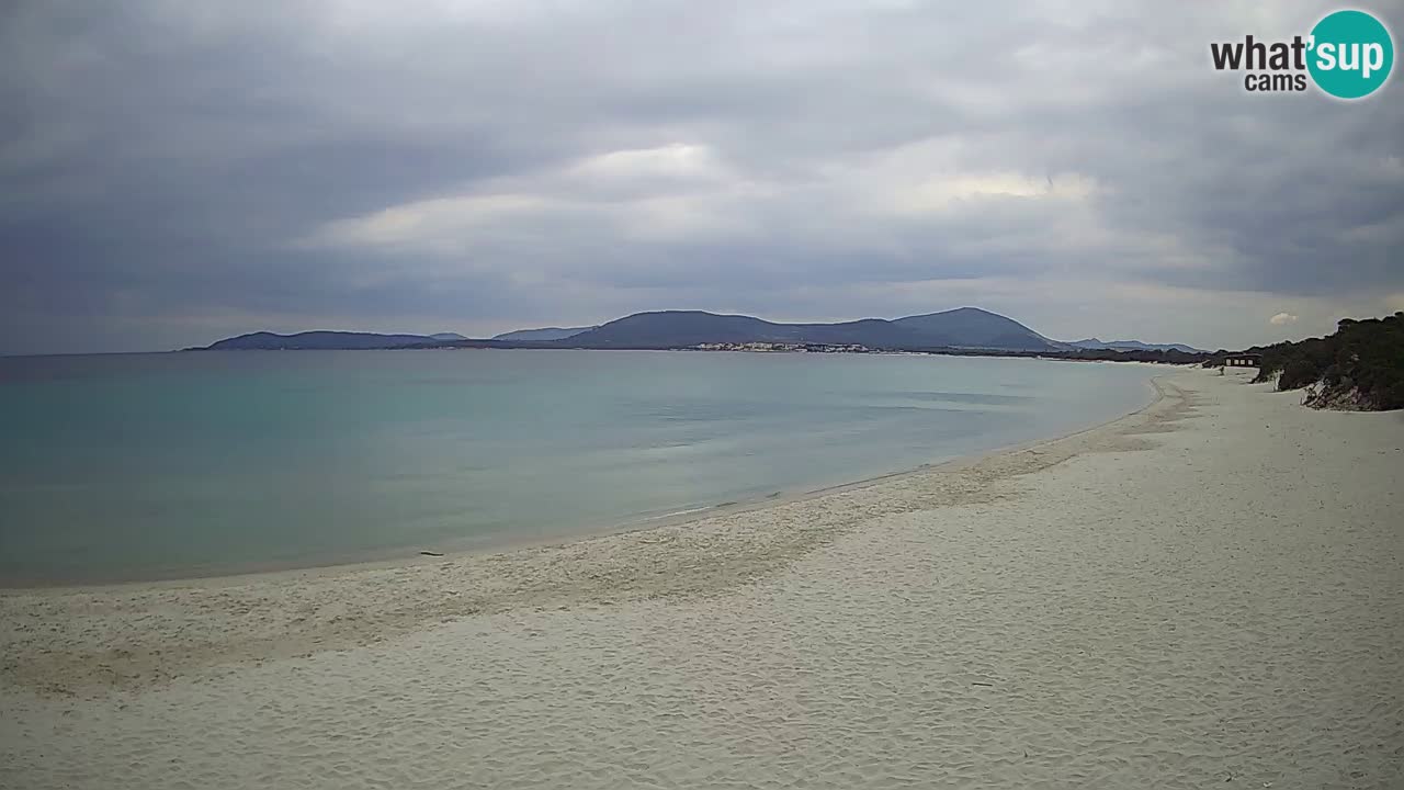 Live webcam Maia Pia beach – Alghero – Sardinia – Italy