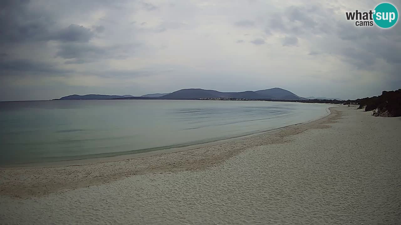 Spletna kamera plaža Maia Pia – Alghero – Sardinija – Italija