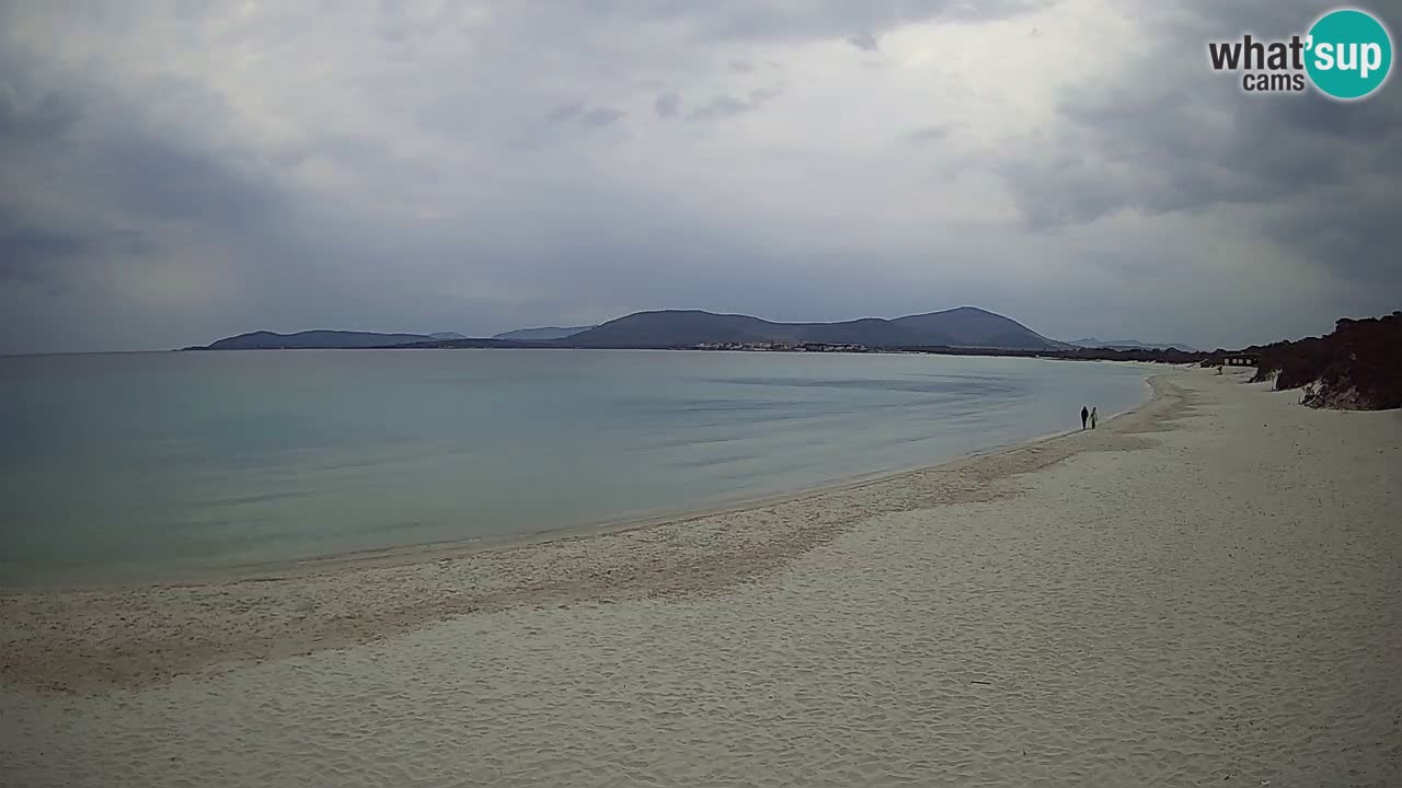 Live webcam Maia Pia beach – Alghero – Sardinia – Italy