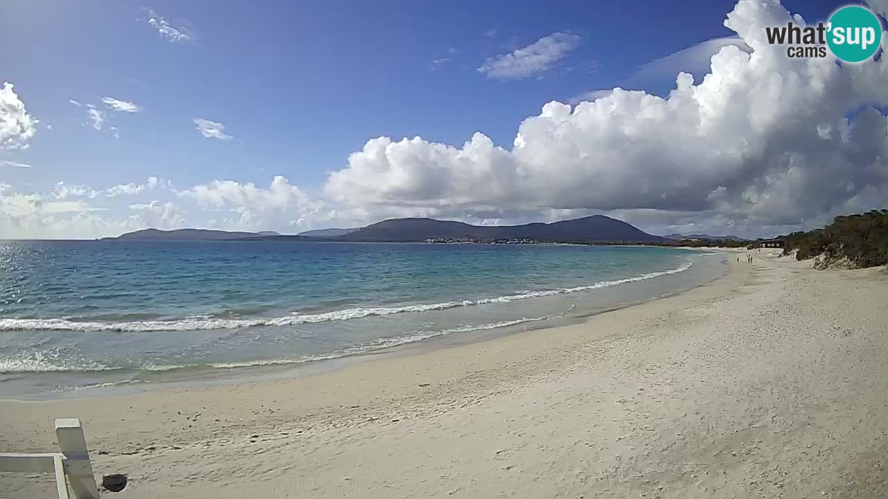 Live webcam Maia Pia beach – Alghero – Sardinia – Italy