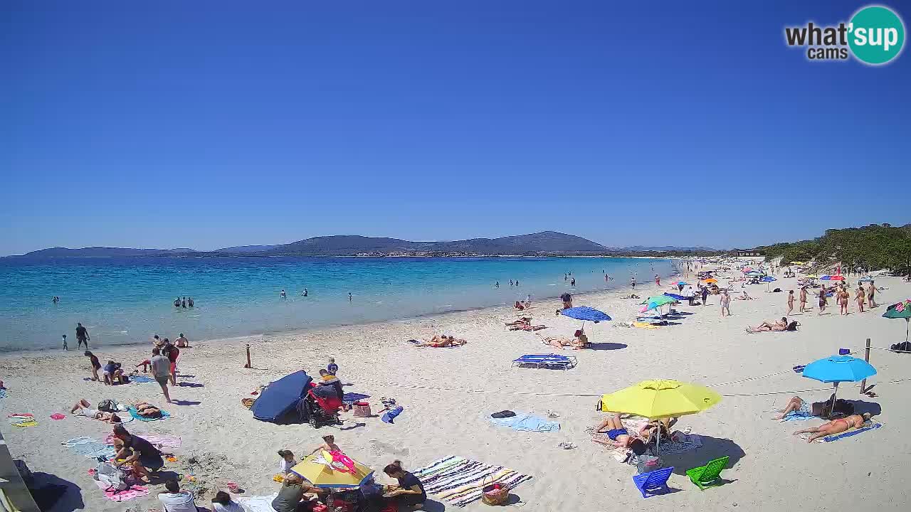 Webcam en vivo Playa de Maia Pia – Alghero – Cerdeña – Italia