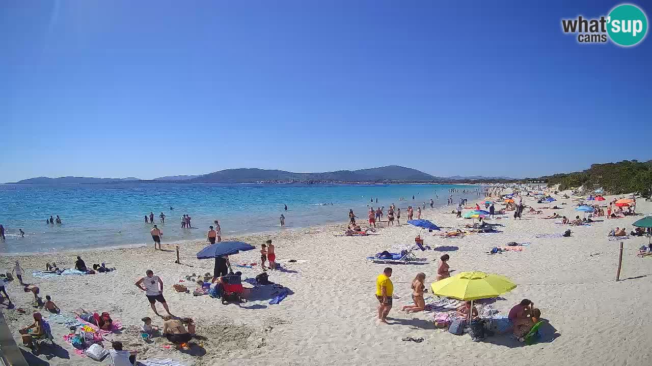 Web kamera uživo plaža Maia Pia – Alghero – Sardinija – Italija