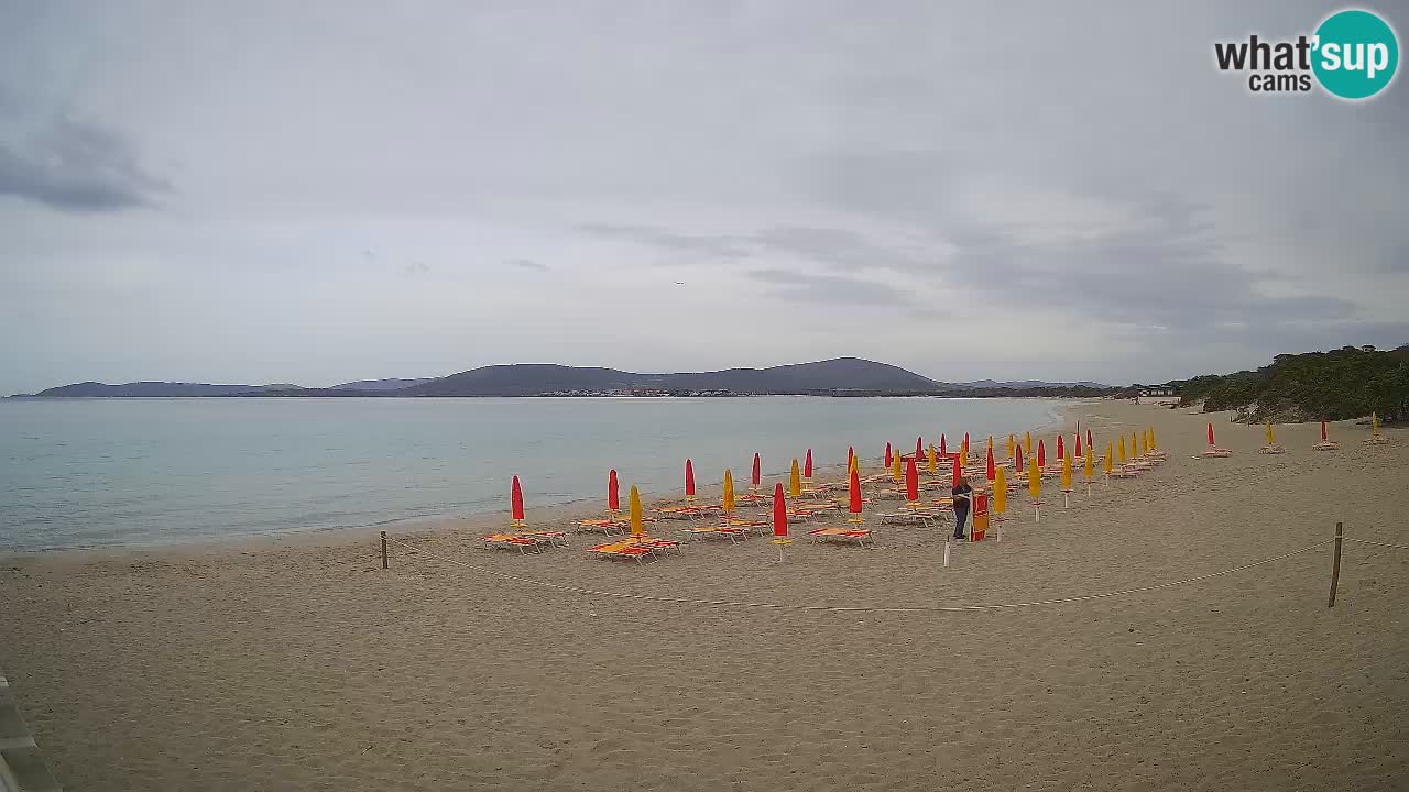 Spletna kamera plaža Maia Pia – Alghero – Sardinija – Italija