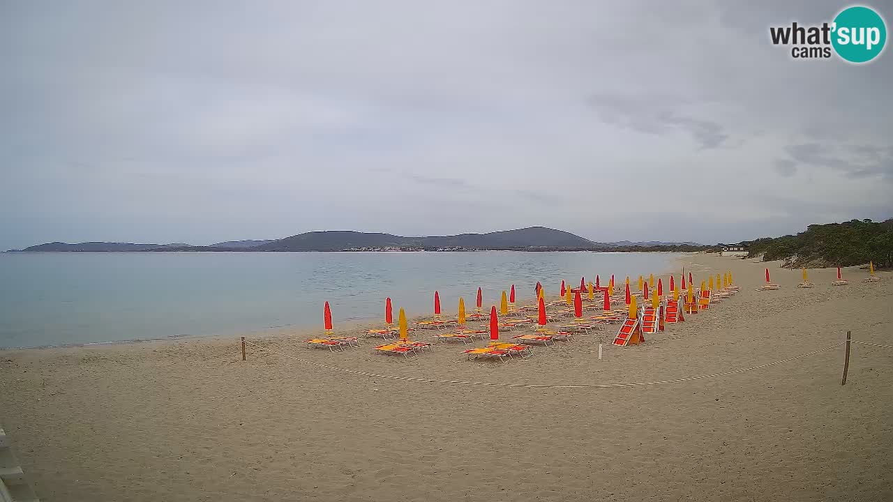 Live webcam Spiaggia Maia Pia – Alghero – Sardegna