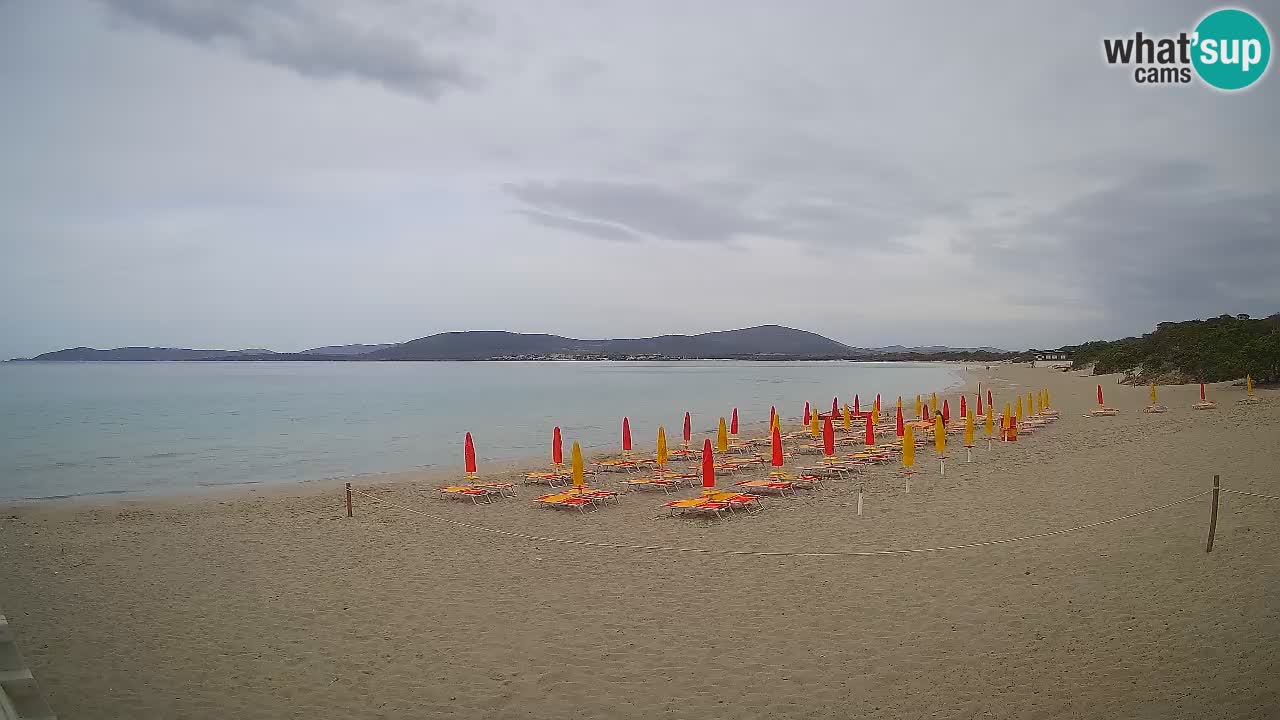 Web kamera uživo plaža Maia Pia – Alghero – Sardinija – Italija