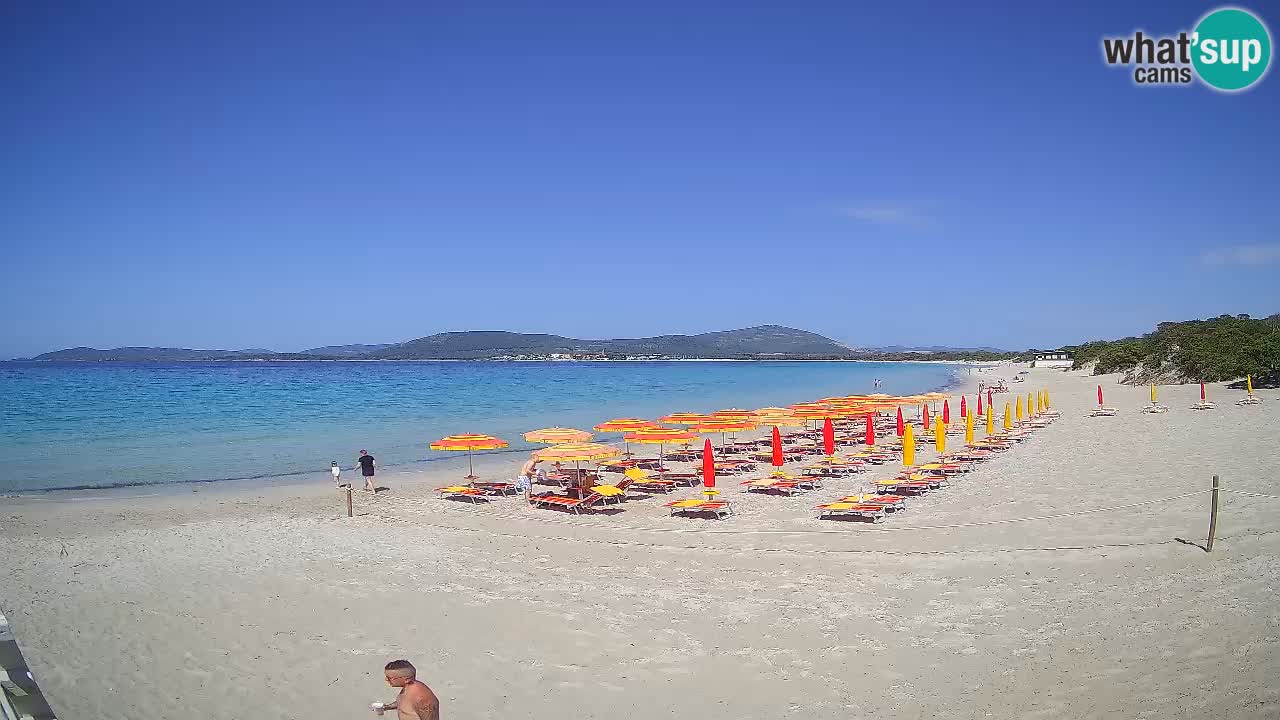 Live webcam Maia Pia beach – Alghero – Sardinia – Italy