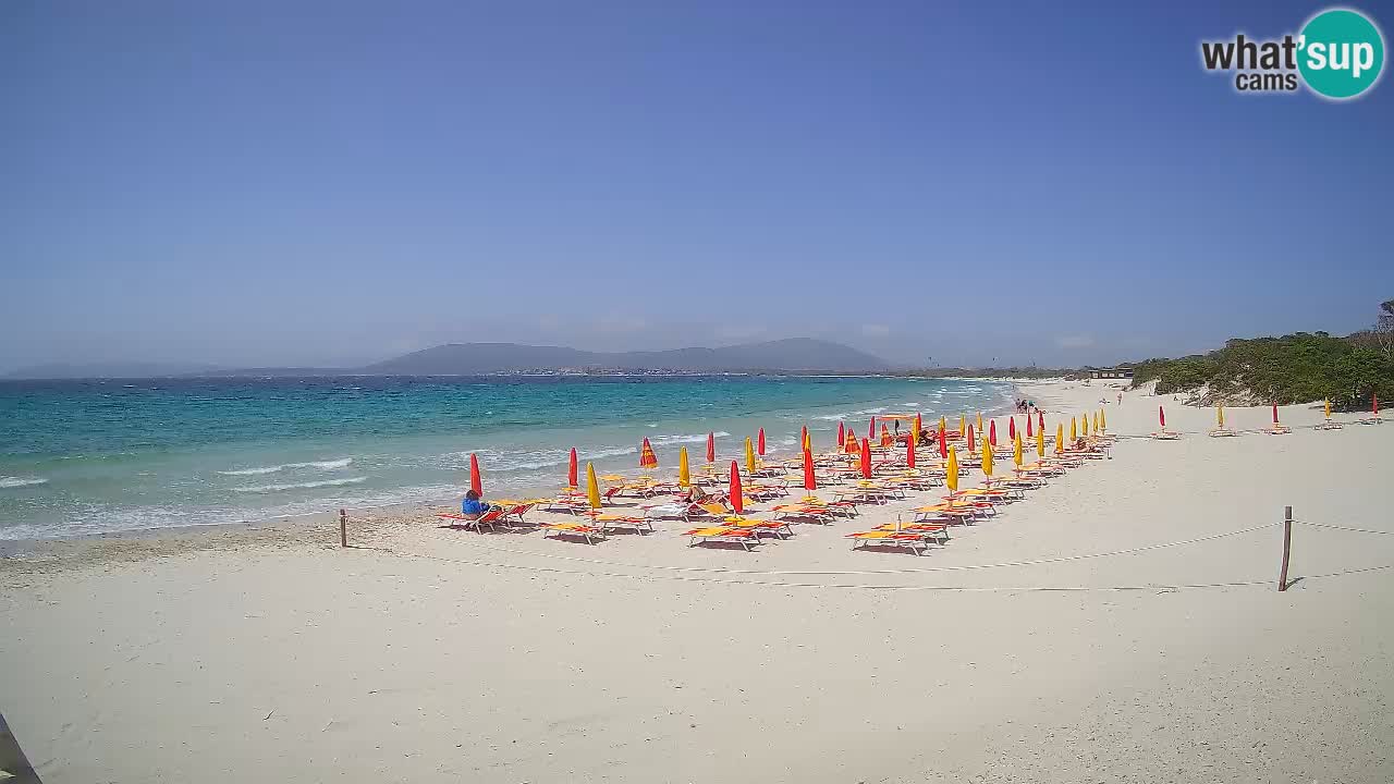 Live webcam Spiaggia Maia Pia – Alghero – Sardegna