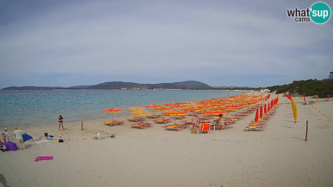 Live webcam Maia Pia beach – Alghero – Sardinia – Italy