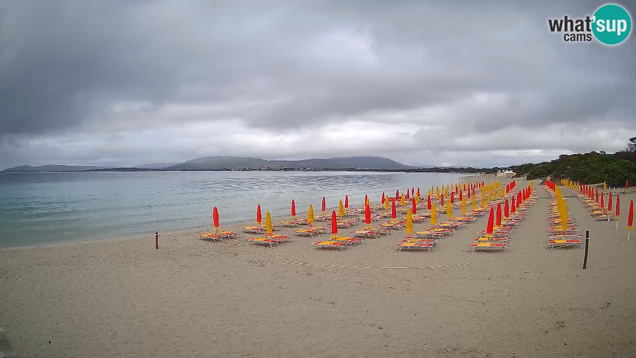 Webcam en vivo Playa de Maia Pia – Alghero – Cerdeña – Italia