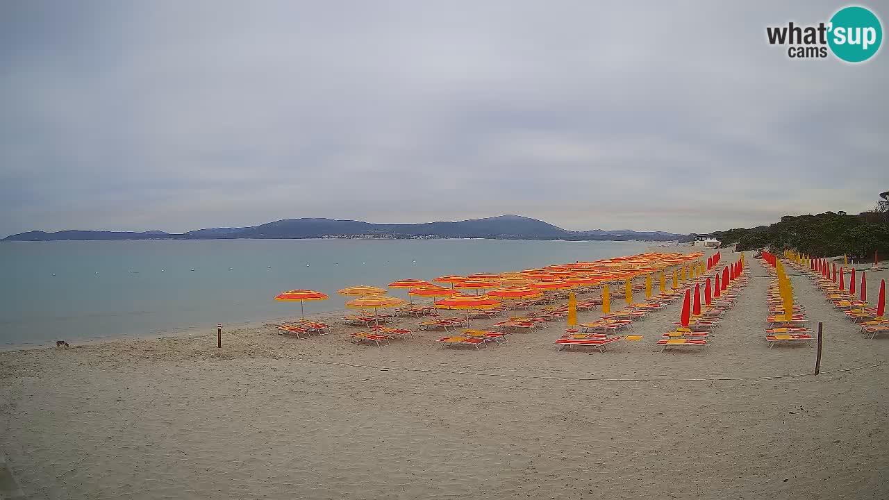 Webcam en direct Plage de Maia Pia – Alghero – Sardaigne – Italie