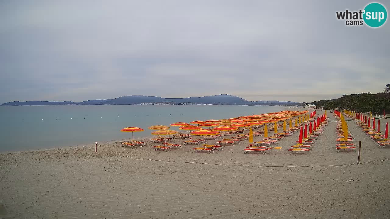 Webcam en vivo Playa de Maia Pia – Alghero – Cerdeña – Italia