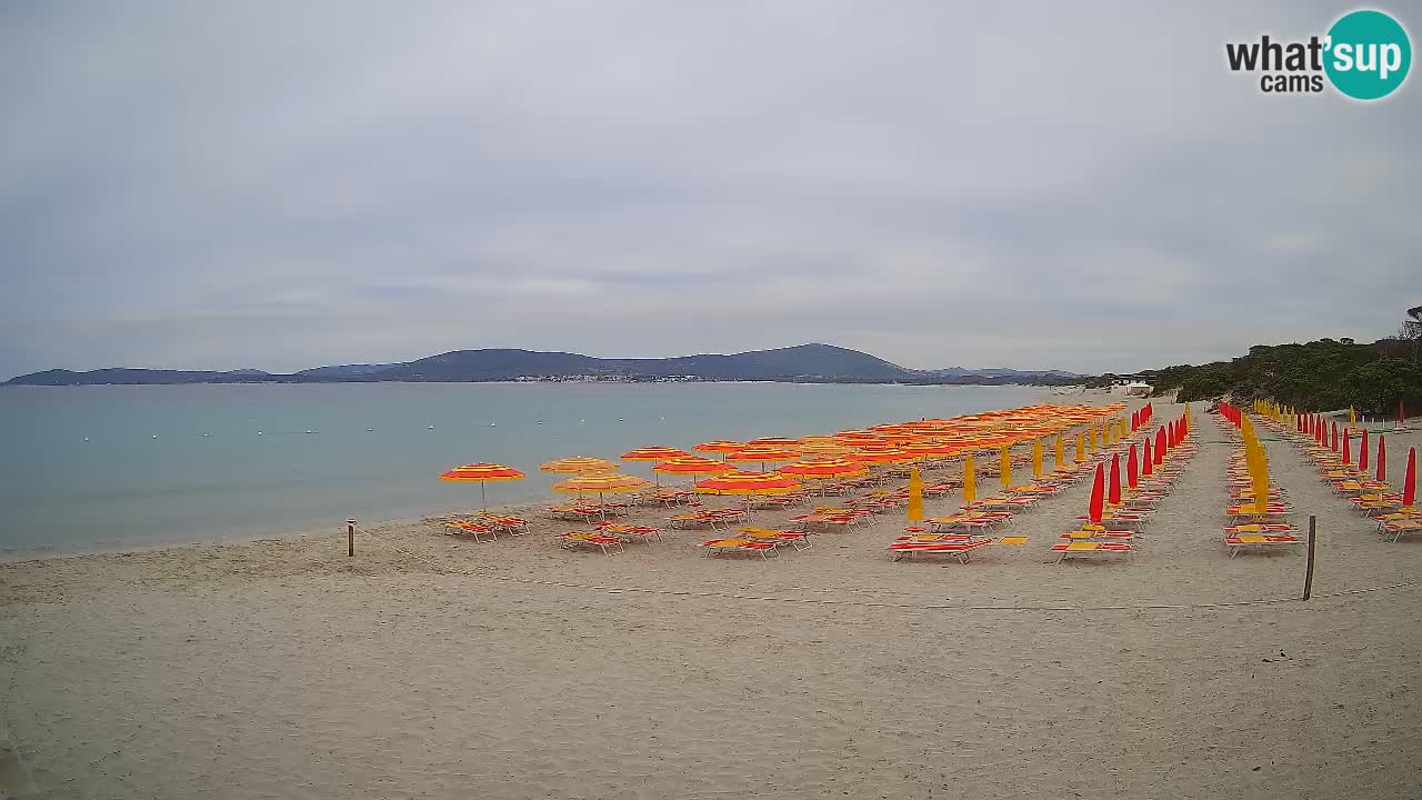 Webcam en vivo Playa de Maia Pia – Alghero – Cerdeña – Italia