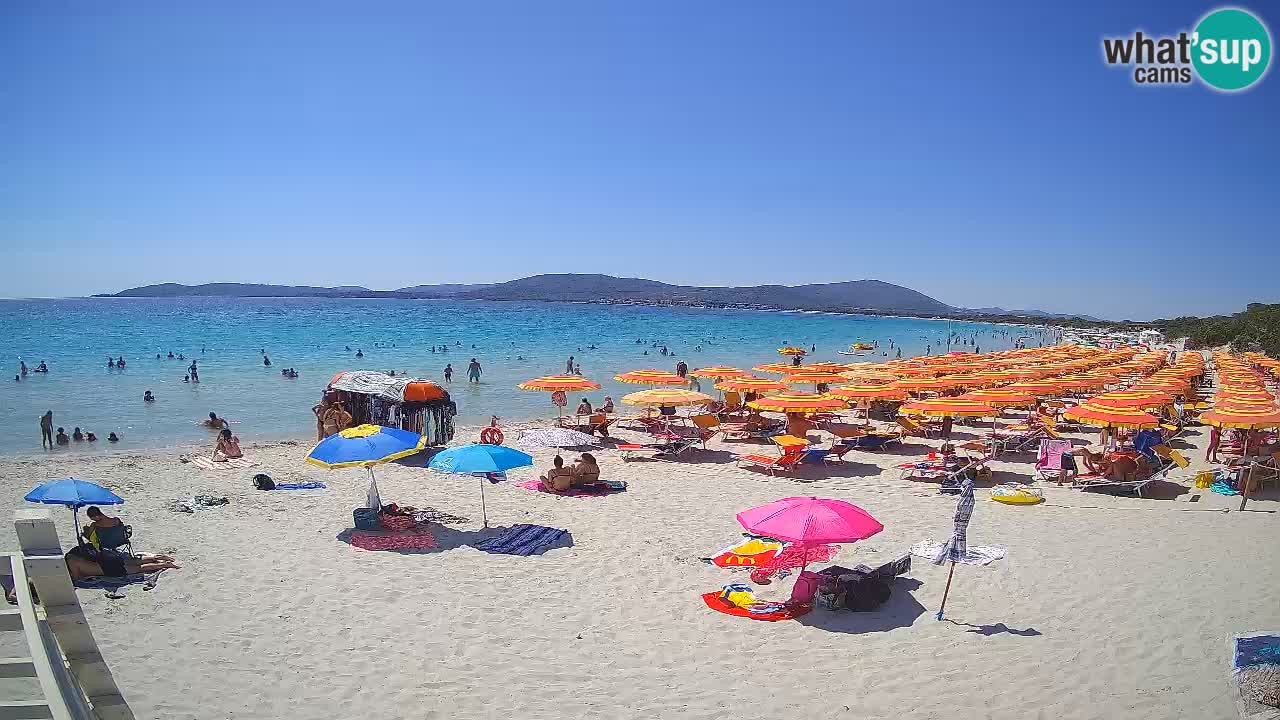 Webcam en vivo Playa de Maia Pia – Alghero – Cerdeña – Italia