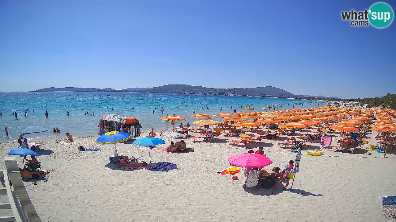 Webcam en vivo Playa de Maia Pia – Alghero – Cerdeña – Italia