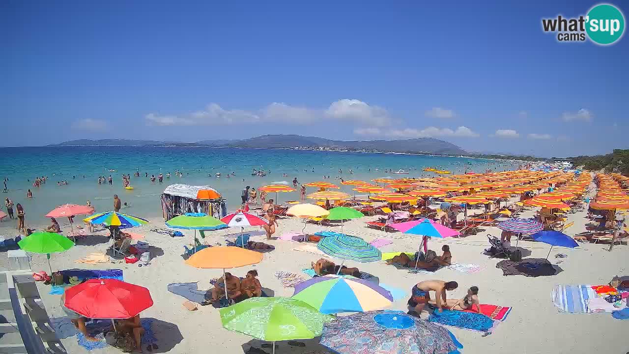 Live webcam Maia Pia beach – Alghero – Sardinia – Italy