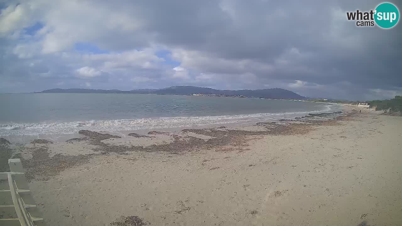 Spletna kamera plaža Maia Pia – Alghero – Sardinija – Italija