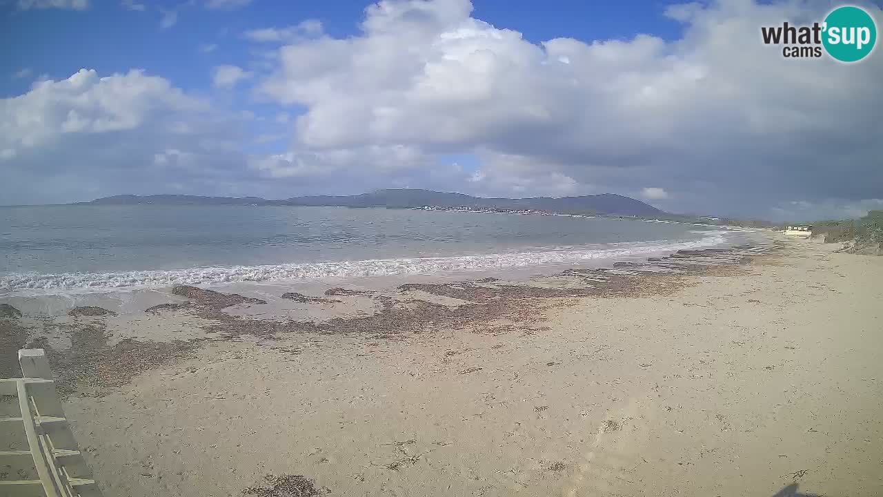 Webcam en direct Plage de Maia Pia – Alghero – Sardaigne – Italie
