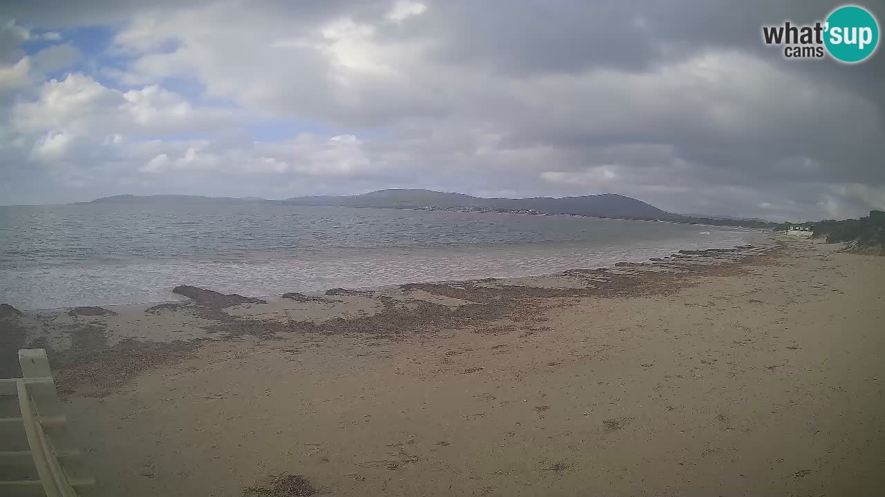 Live webcam Spiaggia Maia Pia – Alghero – Sardegna