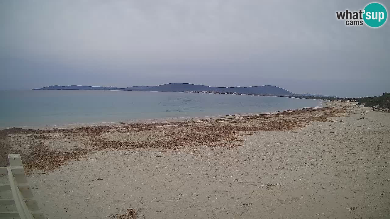 Live Webcam Strand Maia Pia – Alghero – Sardinien – Italien