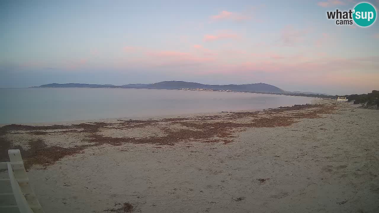 Spletna kamera plaža Maia Pia – Alghero – Sardinija – Italija