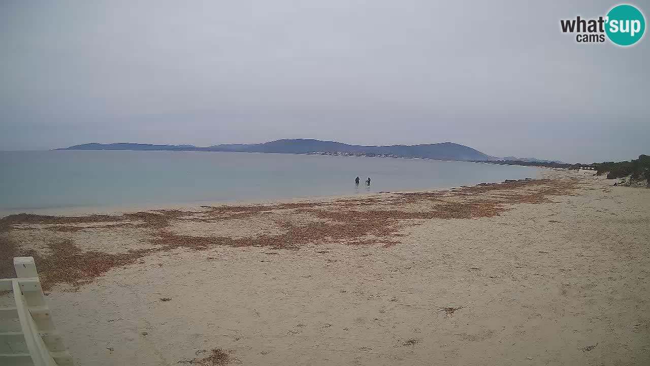 Webcam en direct Plage de Maia Pia – Alghero – Sardaigne – Italie