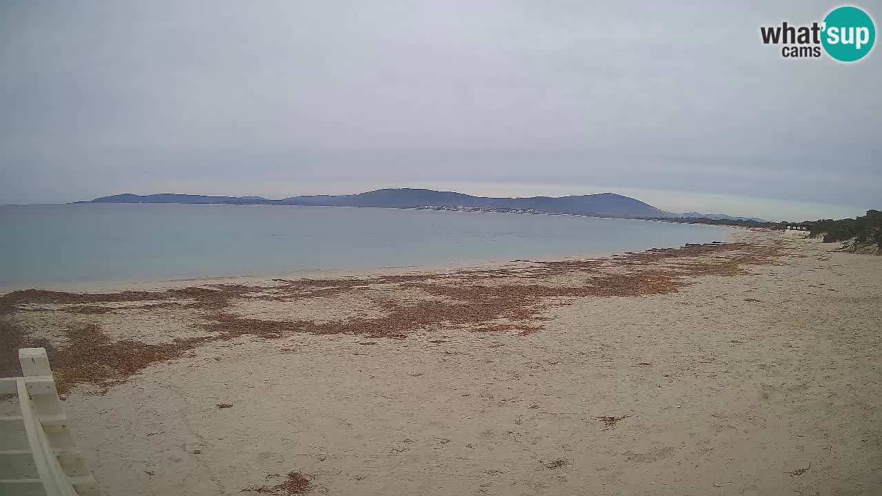 Live webcam Maia Pia beach – Alghero – Sardinia – Italy