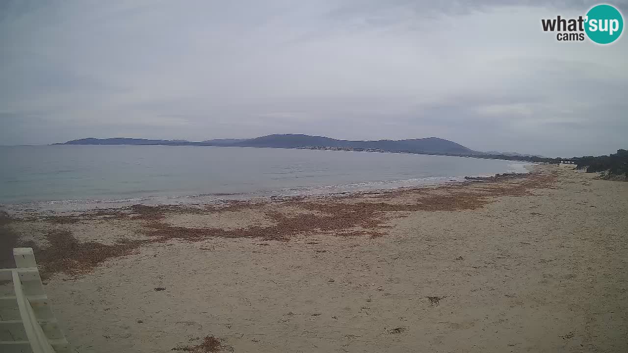 Live Webcam Strand Maia Pia – Alghero – Sardinien – Italien