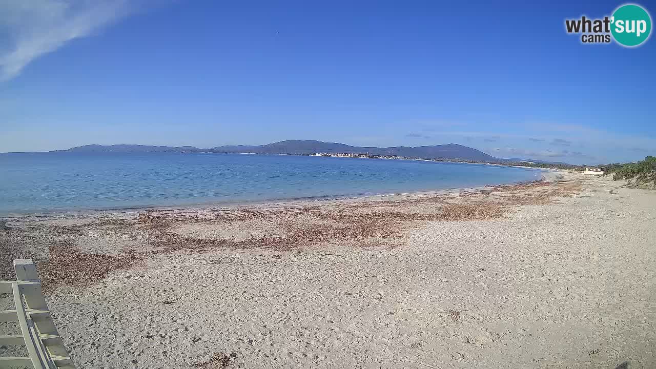 Webcam en vivo Playa de Maia Pia – Alghero – Cerdeña – Italia