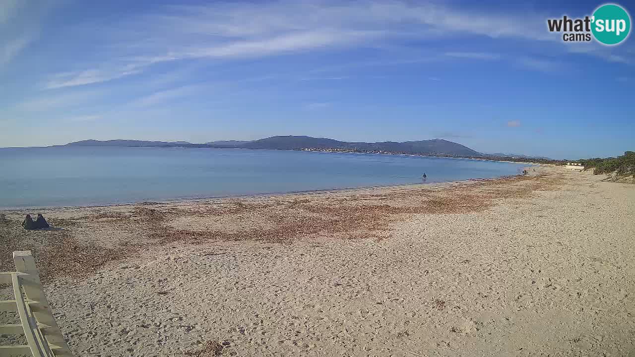 Webcam en vivo Playa de Maia Pia – Alghero – Cerdeña – Italia