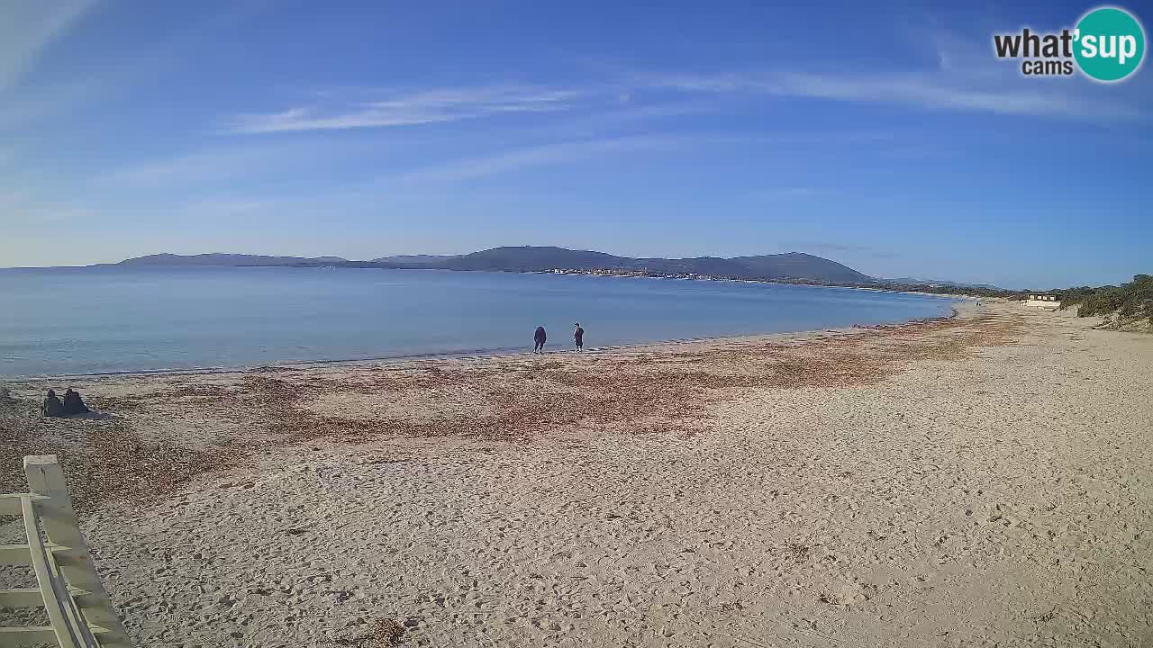 Webcam en direct Plage de Maia Pia – Alghero – Sardaigne – Italie