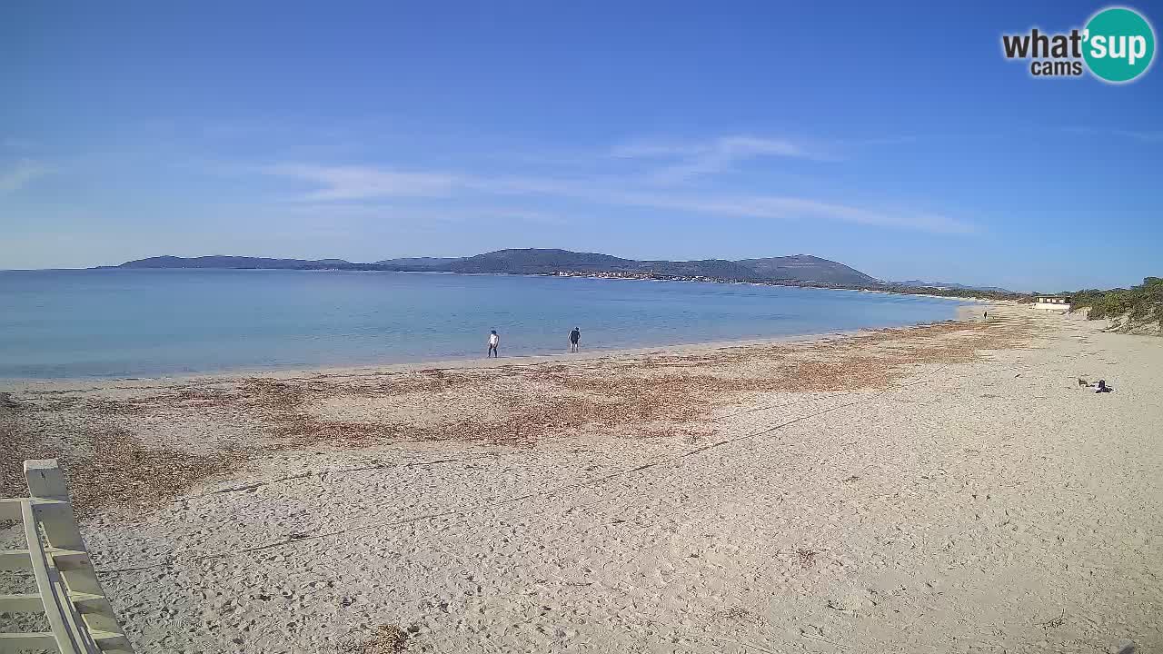 Live webcam Spiaggia Maia Pia – Alghero – Sardegna