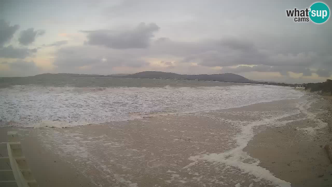 Live webcam Maia Pia beach – Alghero – Sardinia – Italy