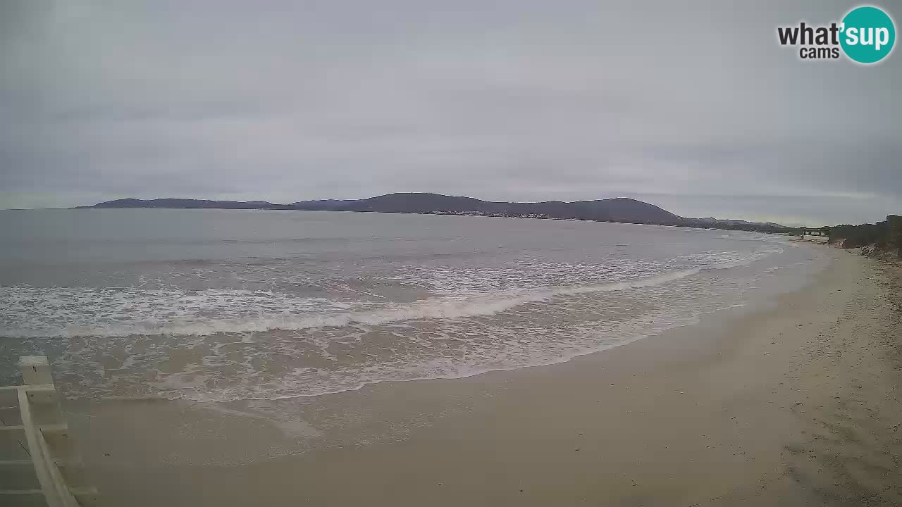 Webcam en vivo Playa de Maia Pia – Alghero – Cerdeña – Italia