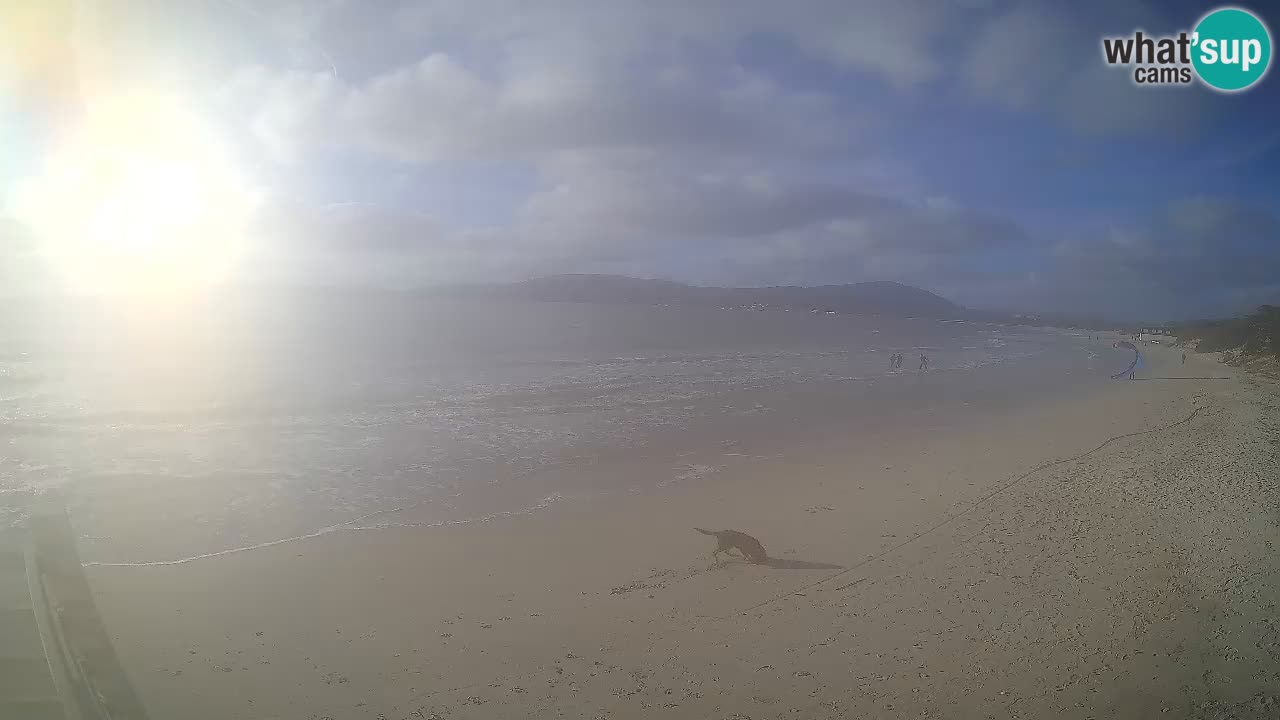Live webcam Spiaggia Maia Pia – Alghero – Sardegna