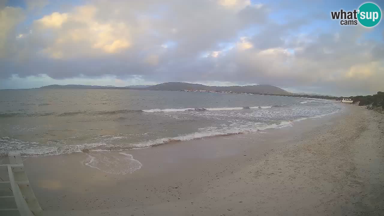 Webcam en vivo Playa de Maia Pia – Alghero – Cerdeña – Italia