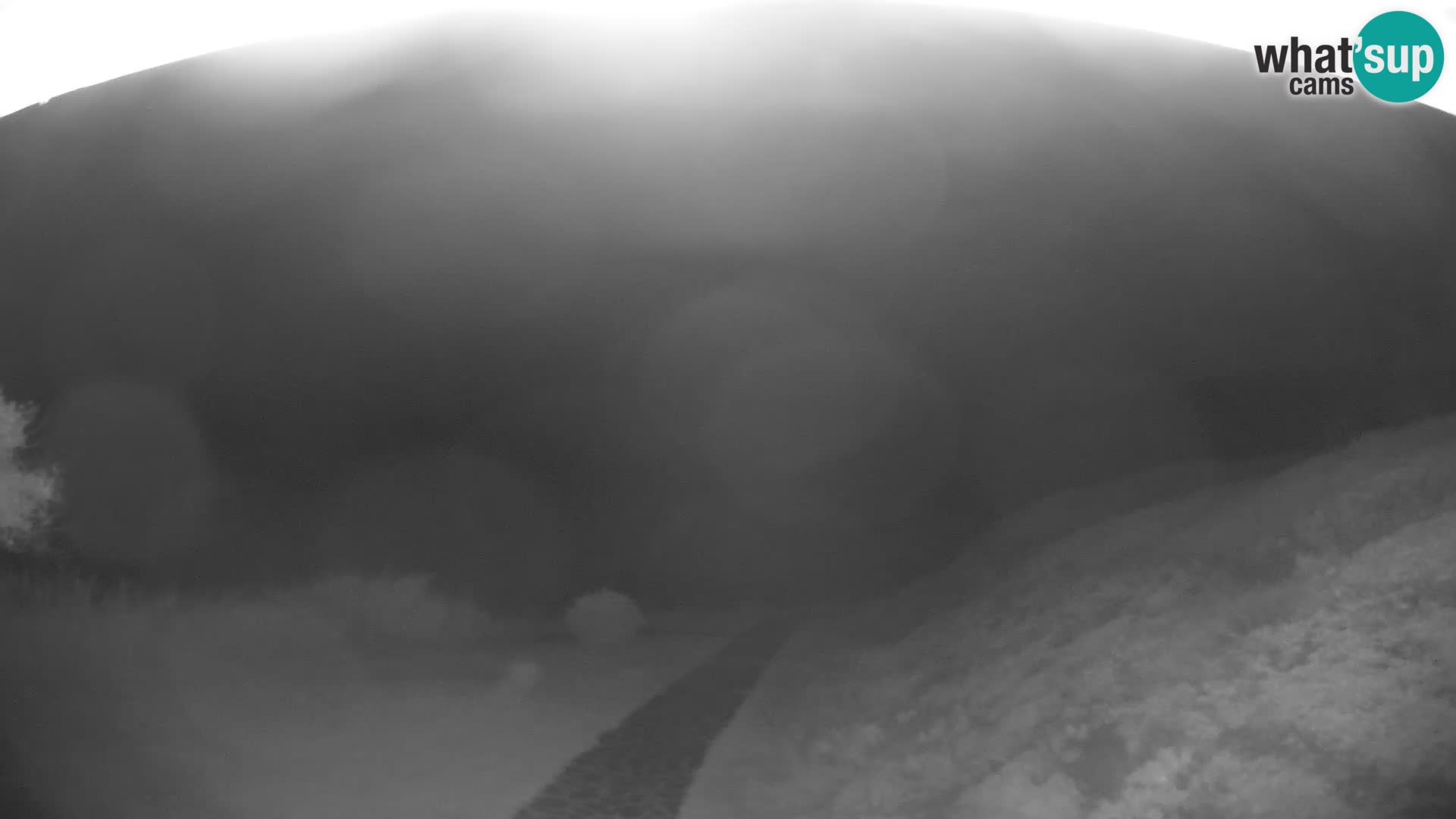 Webcam Strand von Poglina – Blick von der Bar Da Ricciolina – Alghero – Sardinien