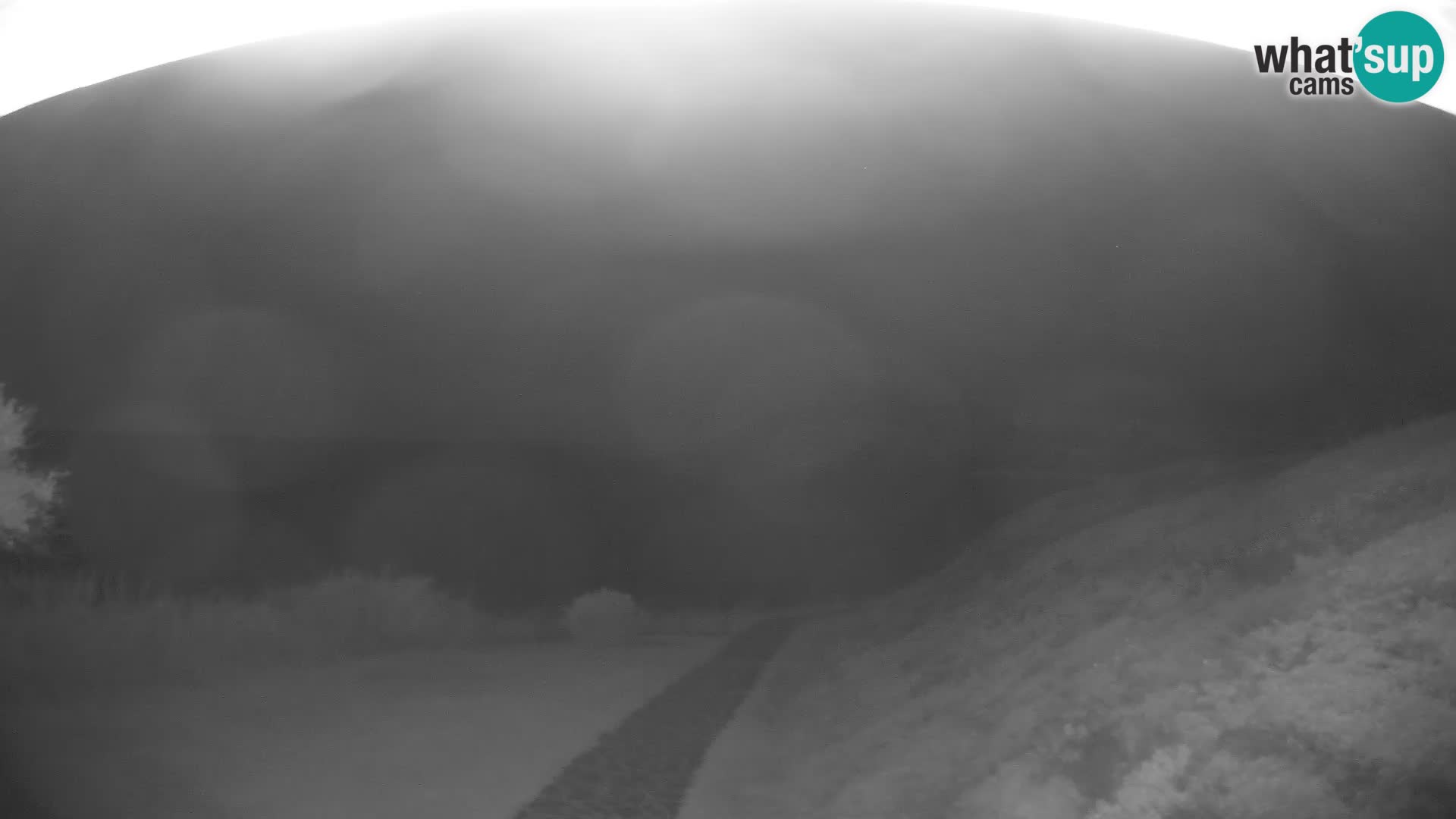 Webcam Strand von Poglina – Blick von der Bar Da Ricciolina – Alghero – Sardinien