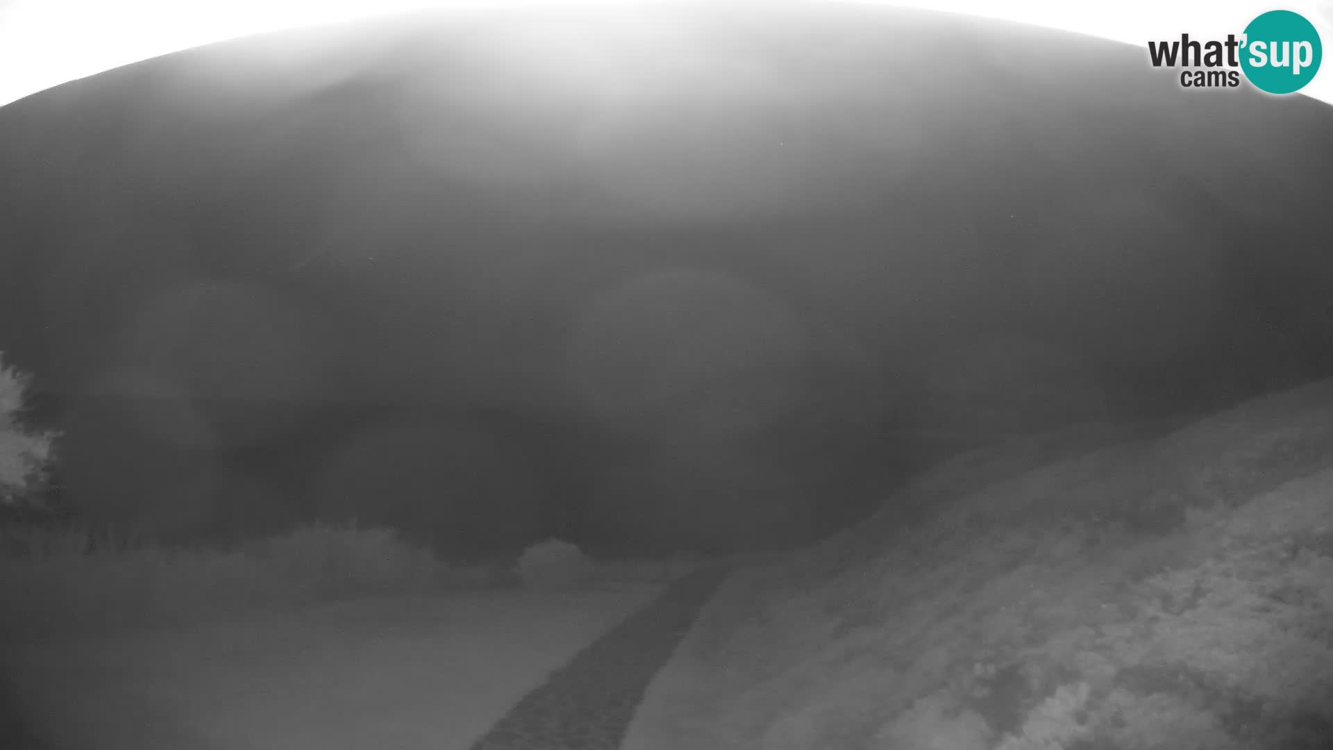 Webcam Strand von Poglina – Blick von der Bar Da Ricciolina – Alghero – Sardinien
