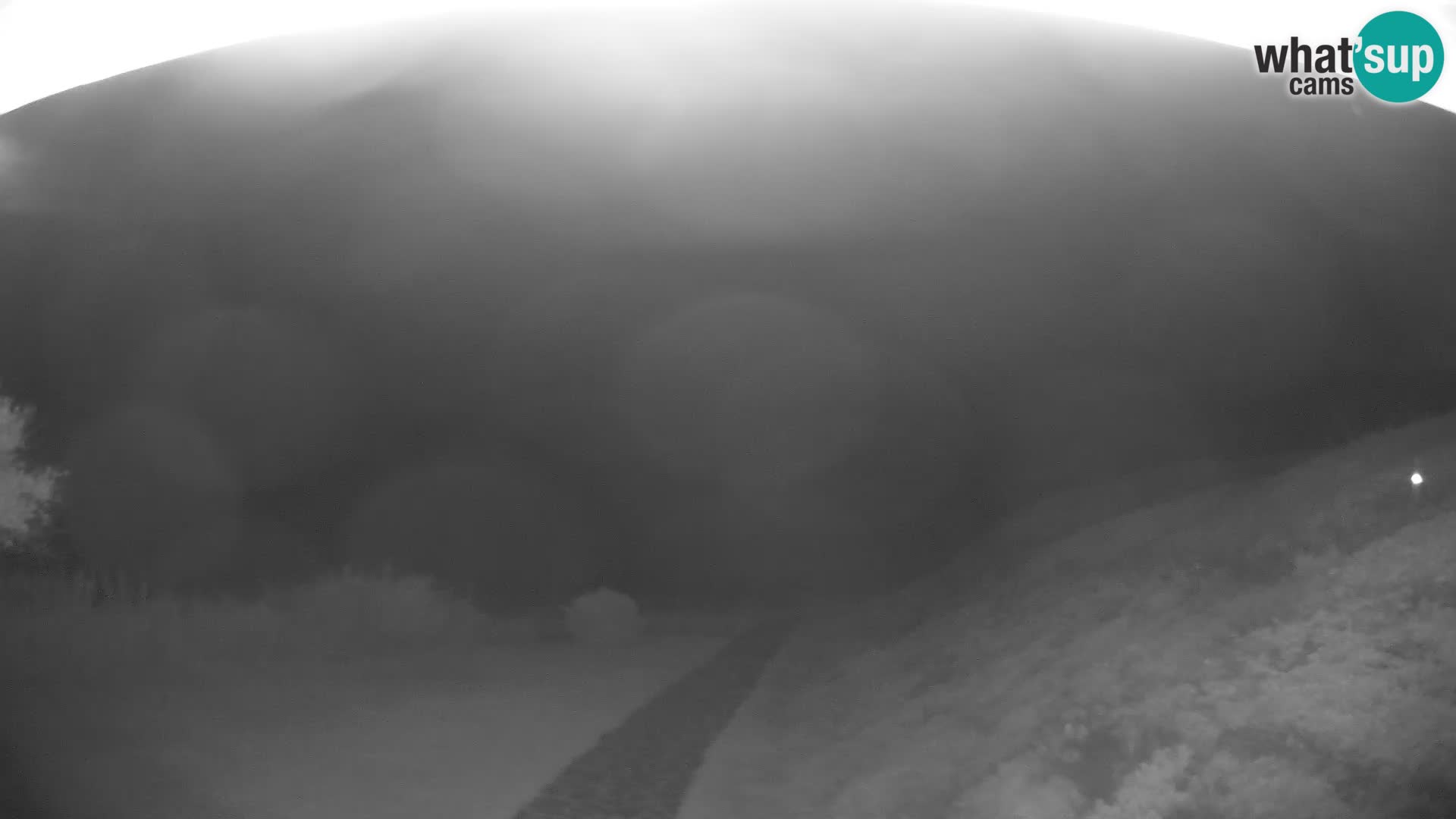 Webcam Strand von Poglina – Blick von der Bar Da Ricciolina – Alghero – Sardinien