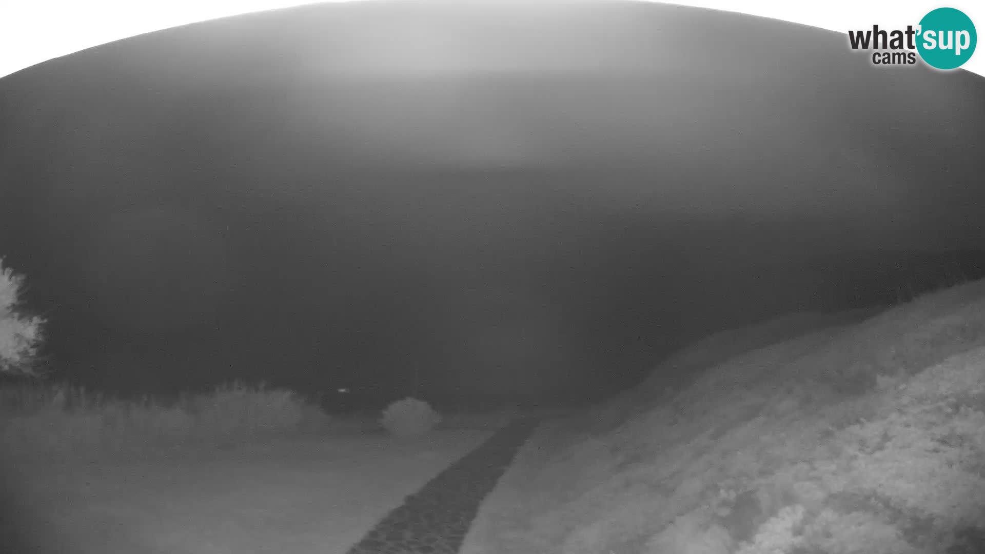 Webcam Strand von Poglina – Blick von der Bar Da Ricciolina – Alghero – Sardinien