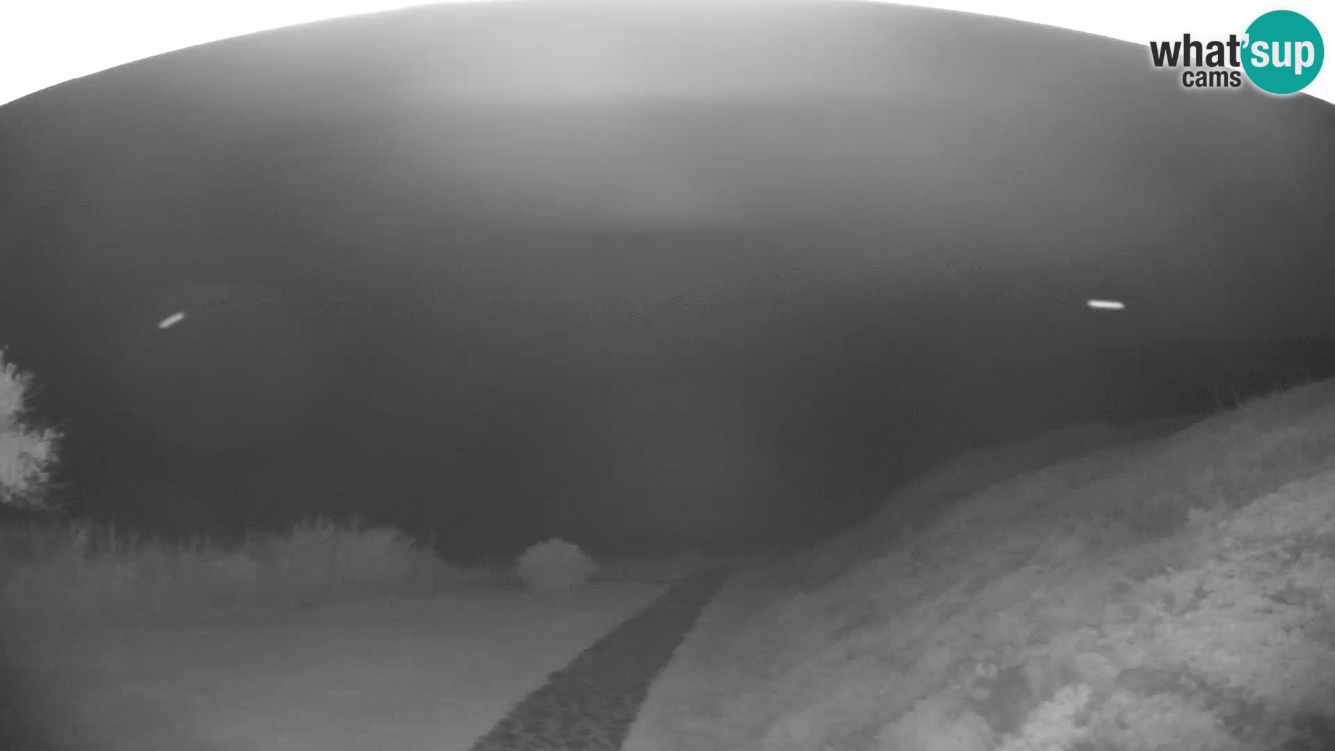 Webcam Strand von Poglina – Blick von der Bar Da Ricciolina – Alghero – Sardinien